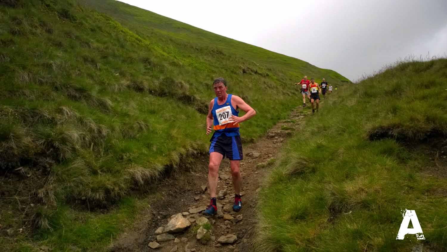 tony edale