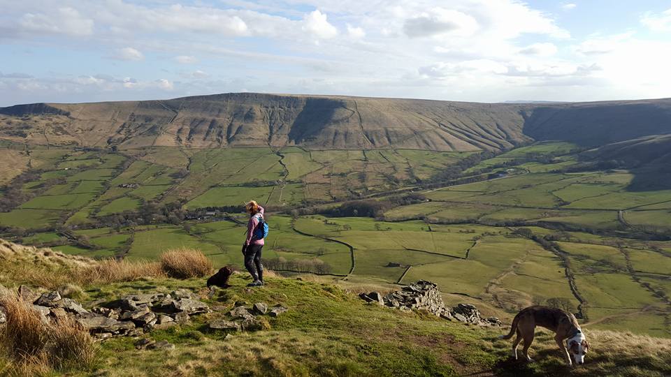 jenny edale