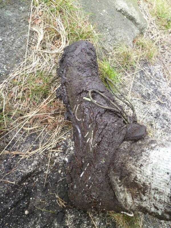 mud