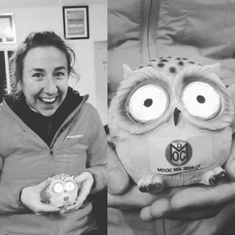 owl