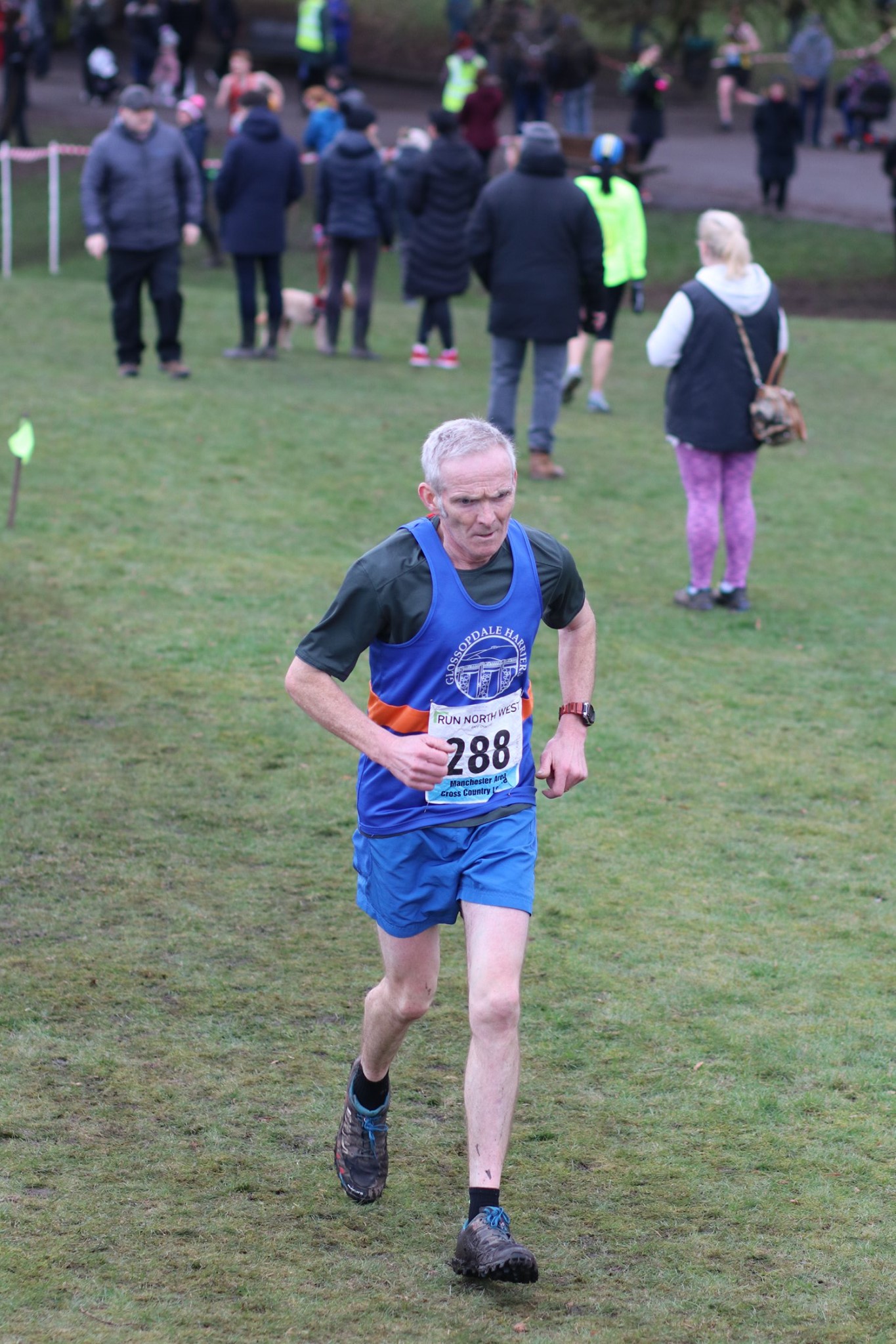 Heaton xc